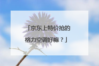 京东上特价抢的格力空调好嘛？