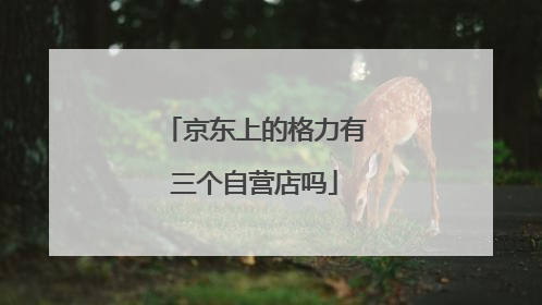 京东上的格力有三个自营店吗