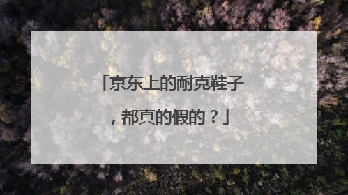 京东上的耐克鞋子,都真的假的?