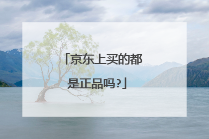 京东上买的都是正品吗?
