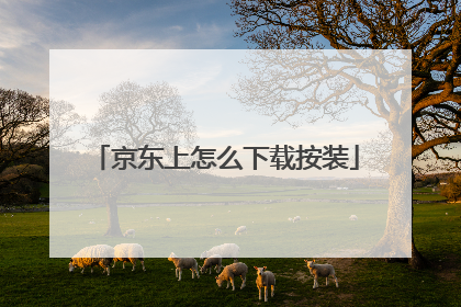 京东上怎么下载按装