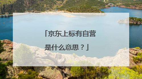 京东上标有自营是什么意思?