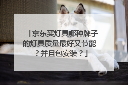 京东买灯具哪种牌子的灯具质量最好又节能?并且包安装?
