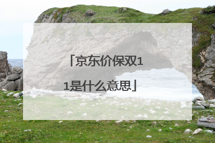 京东价保双11是什么意思