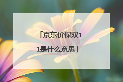 京东价保双11是什么意思