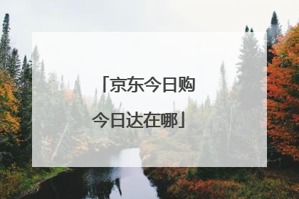 京东今日购今日达在哪