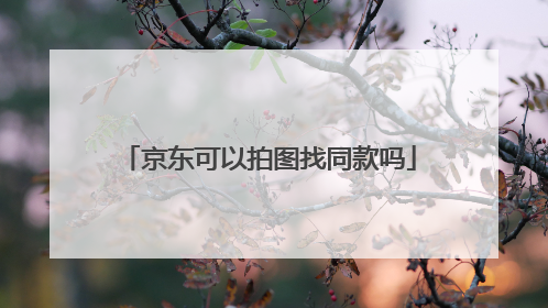 京东可以拍图找同款吗