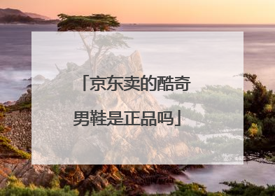 京东卖的酷奇男鞋是正品吗