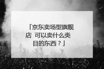 京东卖场型旗舰店 可以卖什么类目的东西？