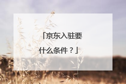 京东入驻要什么条件?