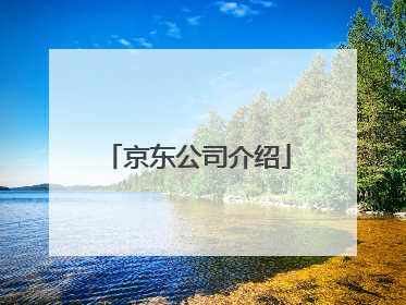 京东公司介绍
