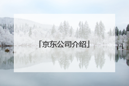 京东公司介绍