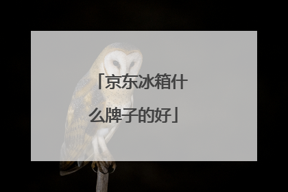 京东冰箱什么牌子的好
