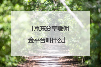 京东分享赚佣金平台叫什么