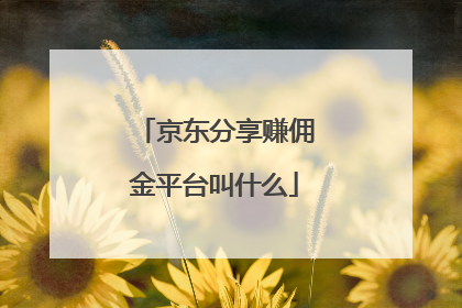 京东分享赚佣金平台叫什么
