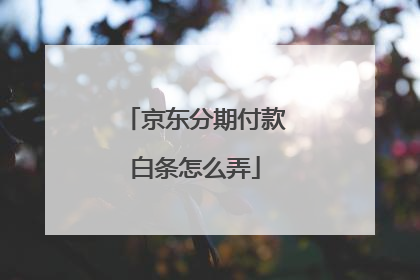 京东分期付款白条怎么弄