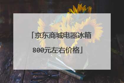 京东商城电器冰箱800元左右价格