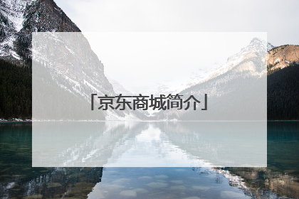 京东商城简介