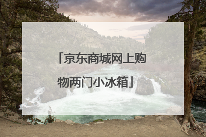 京东商城网上购物两门小冰箱