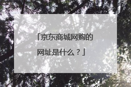 京东商城网购的网址是什么?
