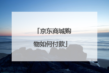 京东商城购物如何付款
