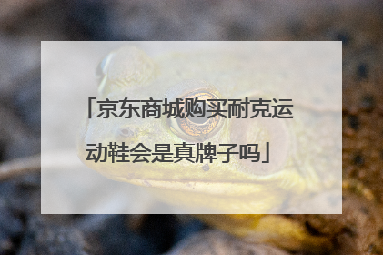 京东商城购买耐克运动鞋会是真牌子吗