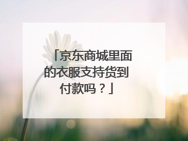 京东商城里面的衣服支持货到付款吗？
