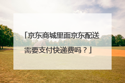 京东商城里面京东配送需要支付快递费吗?