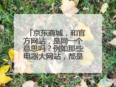 京东商城,和官方网站,是同一个意思吗?例如那些电器大网站,都是叫官方网站吗?我不懂