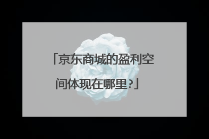 京东商城的盈利空间体现在哪里?