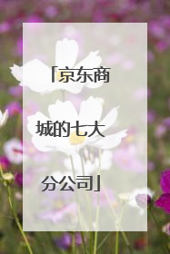 京东商城的七大分公司
