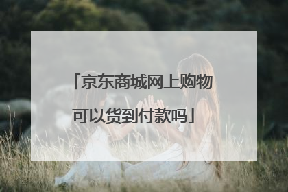 京东商城网上购物可以货到付款吗
