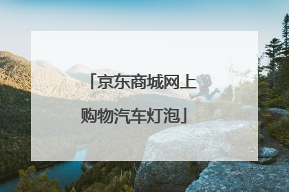 京东商城网上购物汽车灯泡