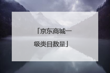 京东商城一级类目数量