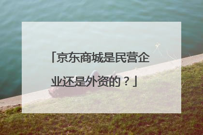 京东商城是民营企业还是外资的?