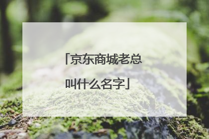 京东商城老总叫什么名字