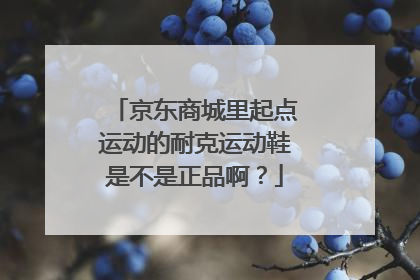 京东商城里起点运动的耐克运动鞋是不是正品啊?