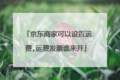 京东商家可以设置运费,运费发票谁来开