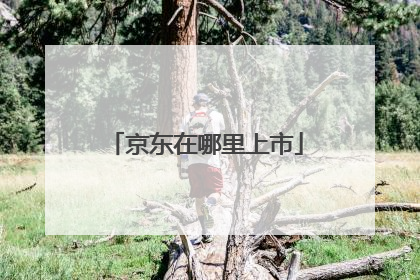 京东在哪里上市