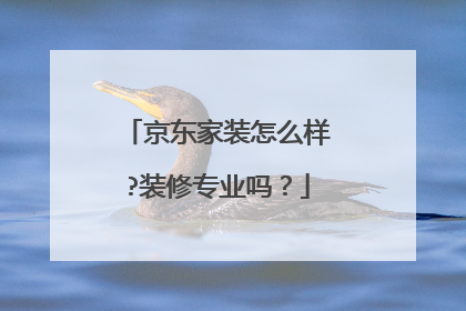 京东家装怎么样?装修专业吗?