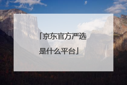 京东官方严选是什么平台