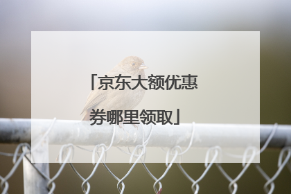 京东大额优惠券哪里领取