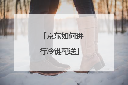 京东如何进行冷链配送