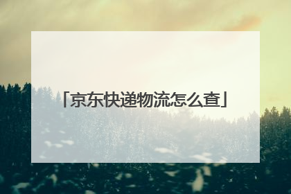 京东快递物流怎么查