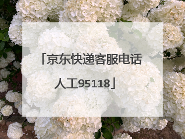 京东快递客服电话人工95118