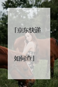 京东快递如何查