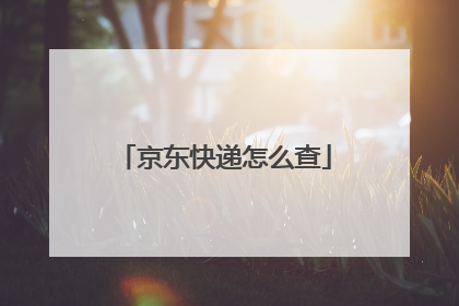 京东快递怎么查