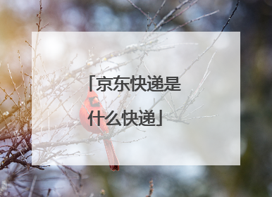 京东快递是什么快递