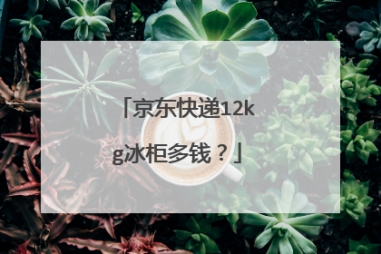 京东快递12kg冰柜多钱?