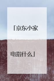 京东小家电指什么
